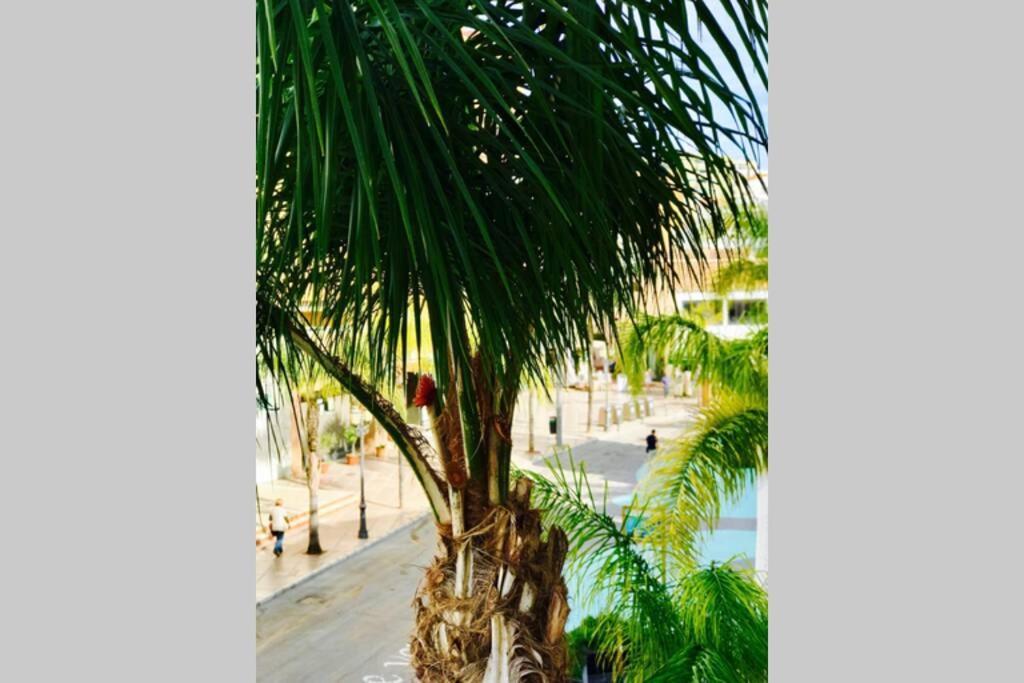 Begonia City Center Apartment 230 By Namaste Elite Torremolinos Exterior foto